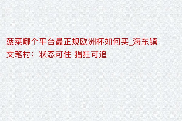 菠菜哪个平台最正规欧洲杯如何买_海东镇文笔村：状态可住 猖狂可追