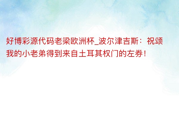 好博彩源代码老梁欧洲杯_波尔津吉斯：祝颂我的小老弟得到来自土